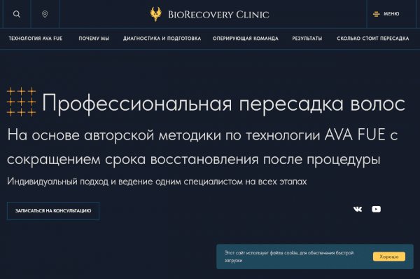 brclinic.ru