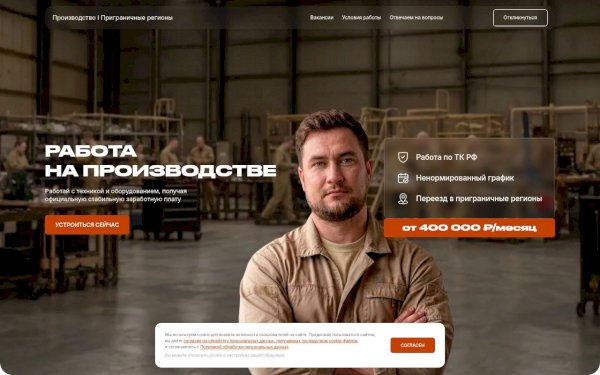 sokolyprofi.ru