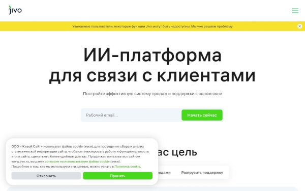 www.jivo.ru